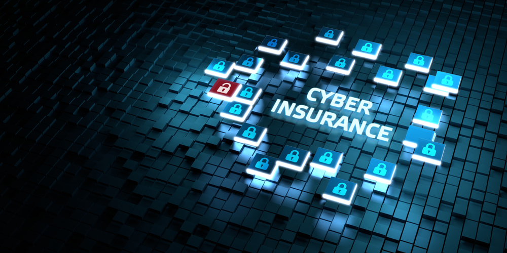 Cyber Security Insurance from Hoffman Insurance